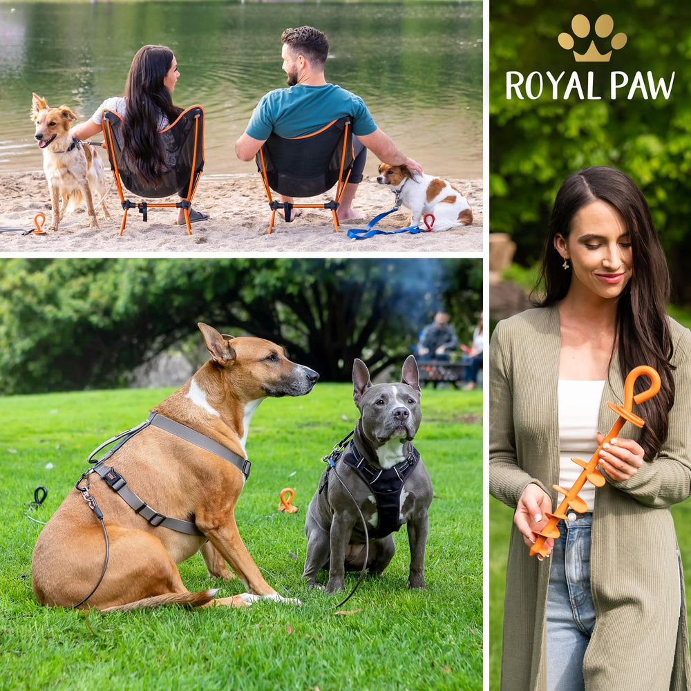 Gift-ready packaging by ROYAL PAW for safety and peace of mind
