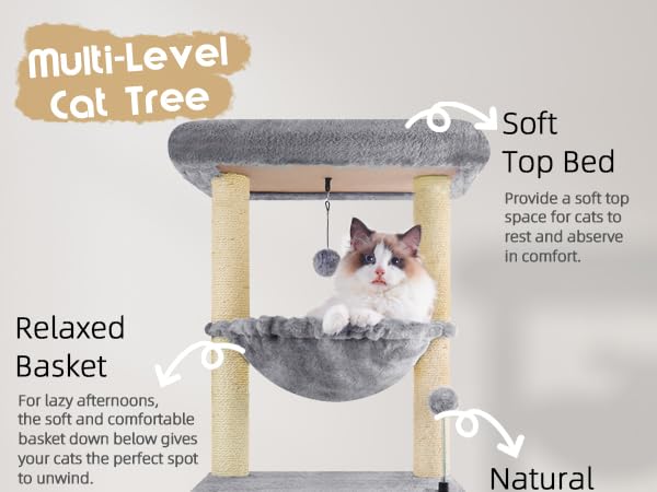 Roypet fashion design blends with contemporary decor through clean lines and vertical space use