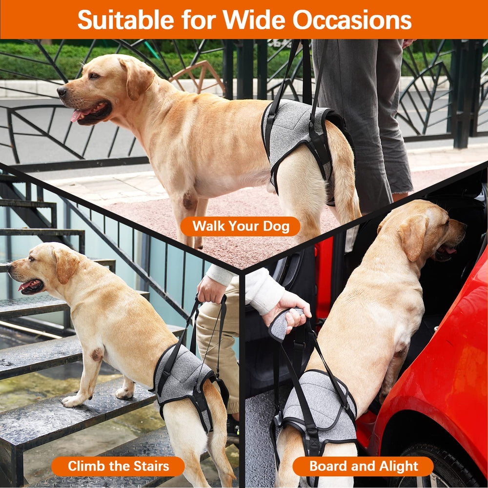 ROZKITCH dog lift harness in use demonstrates easy lifting without bending