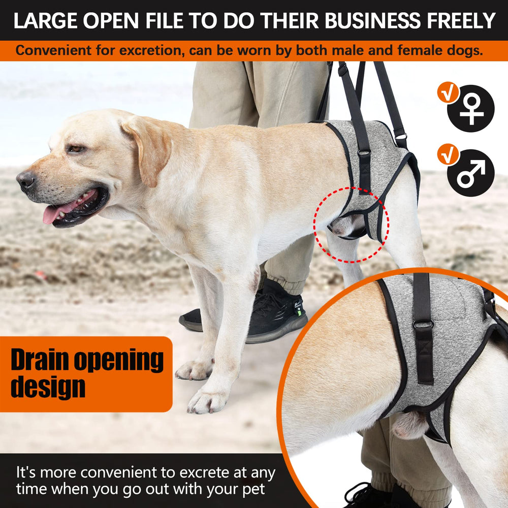 ROZKITCH dog lift harness padded handle eases lifting for owners