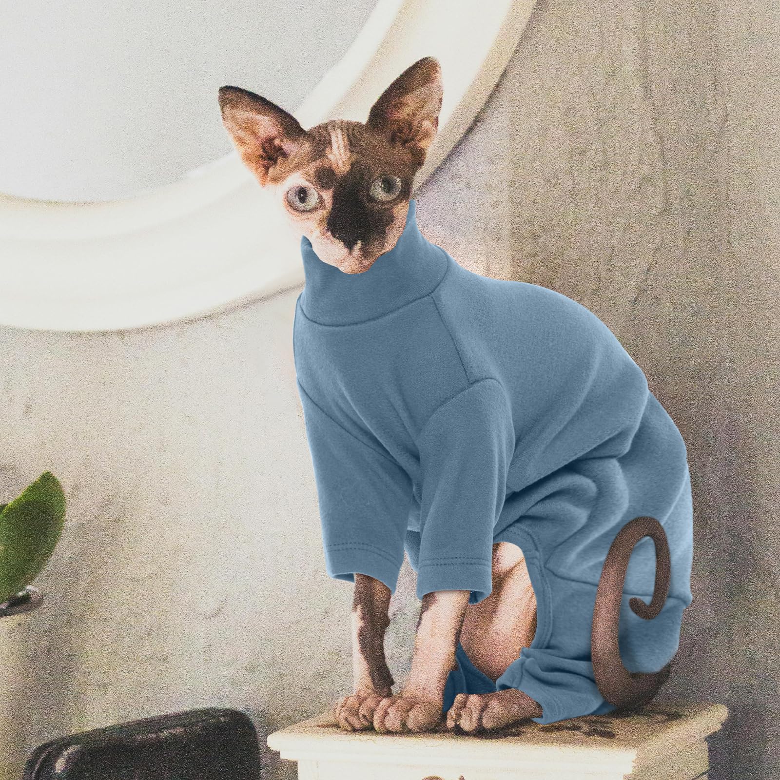 ROZKITCH size-chart hairless-cat image clarifies sizing for accurate fits.