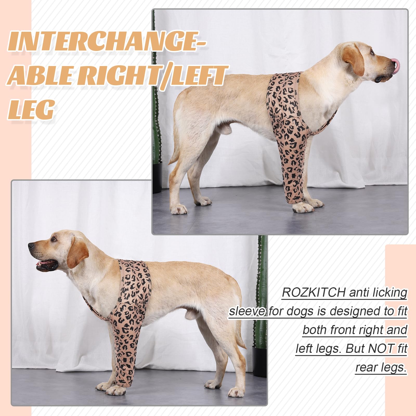 ROZKITCH bandage-covering dog recovery image demonstrating clean dressings