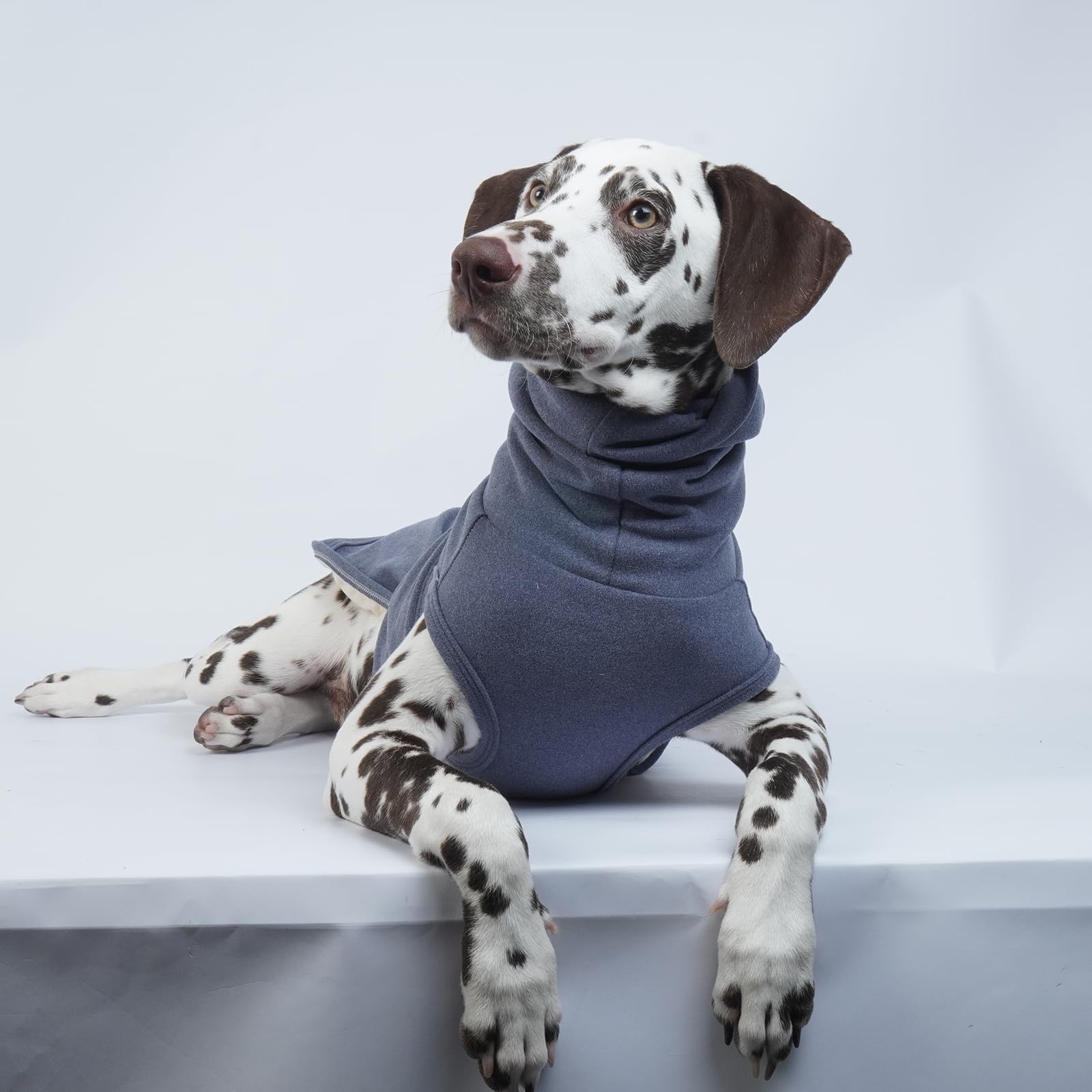 ROZKITCH Calming Coat suitable for fireworks use