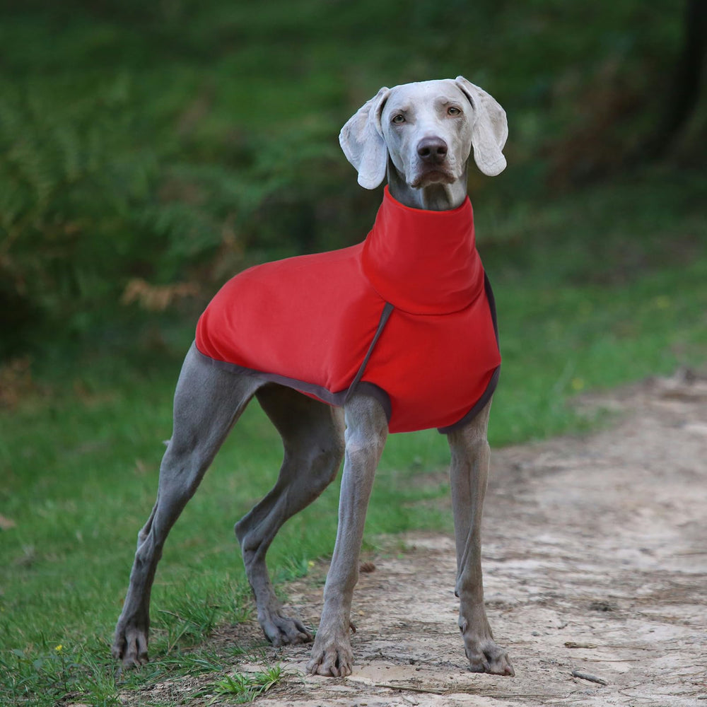 ROZKITCH dog breathable-lining interior keeps dog comfortable in layers