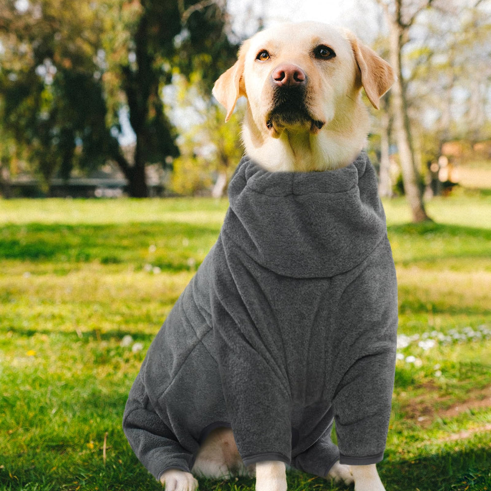 ROZKITCH dog coat supports walking, jogging, and hiking adventures