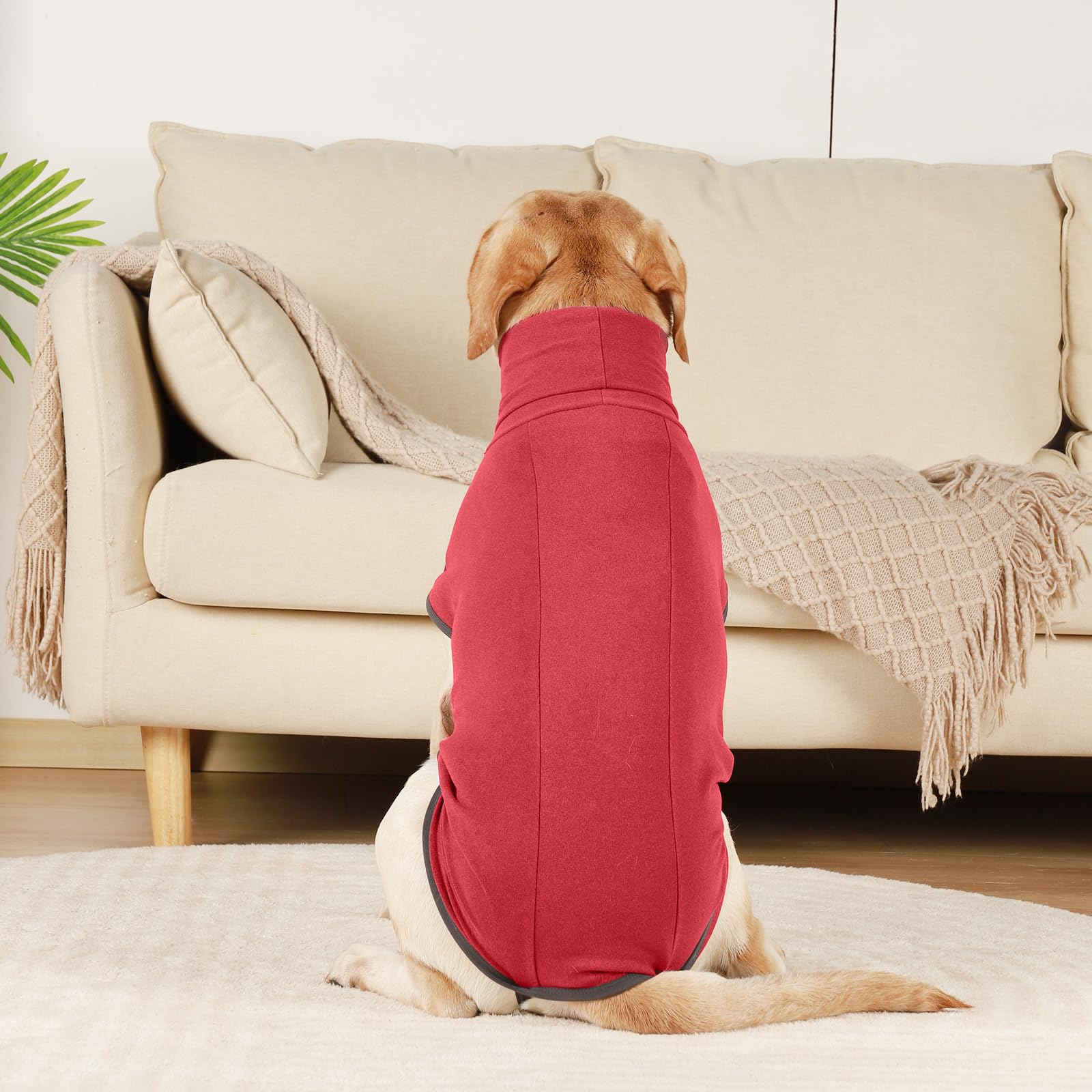 ROZKITCH dog eight-sizes 2xs-3xl ensures fit for many breeds