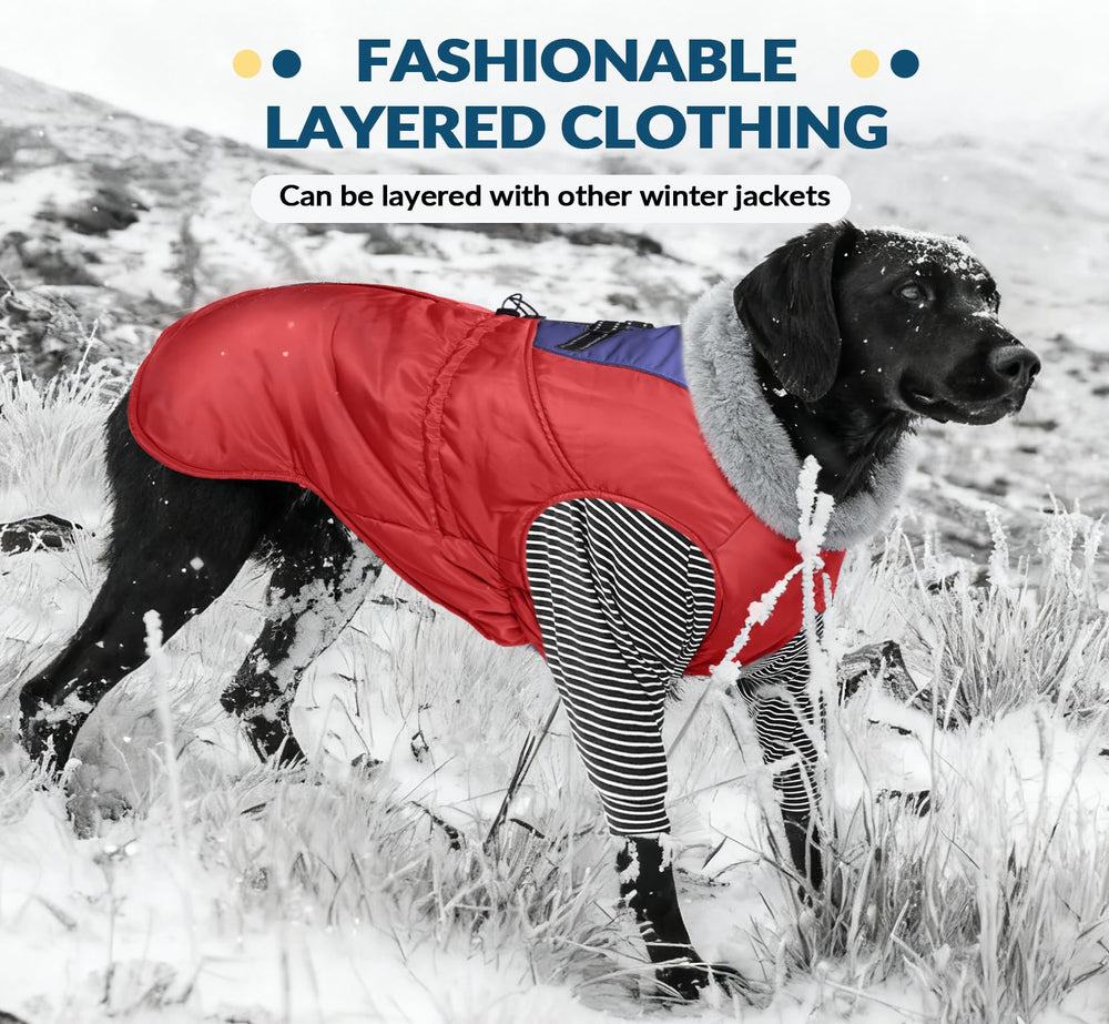 ROZKITCH dog fleece sweater suitable for indoor lounging and outdoor adventures in cold weather.
