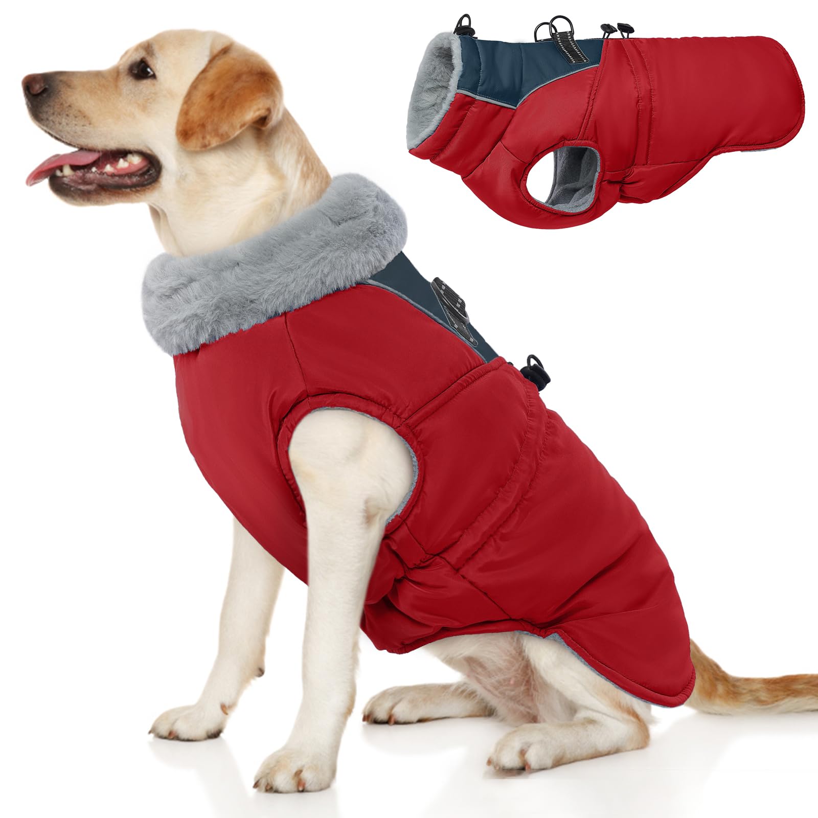 ROZKITCH dog jacket front view shows warm winter coat for chilly walks