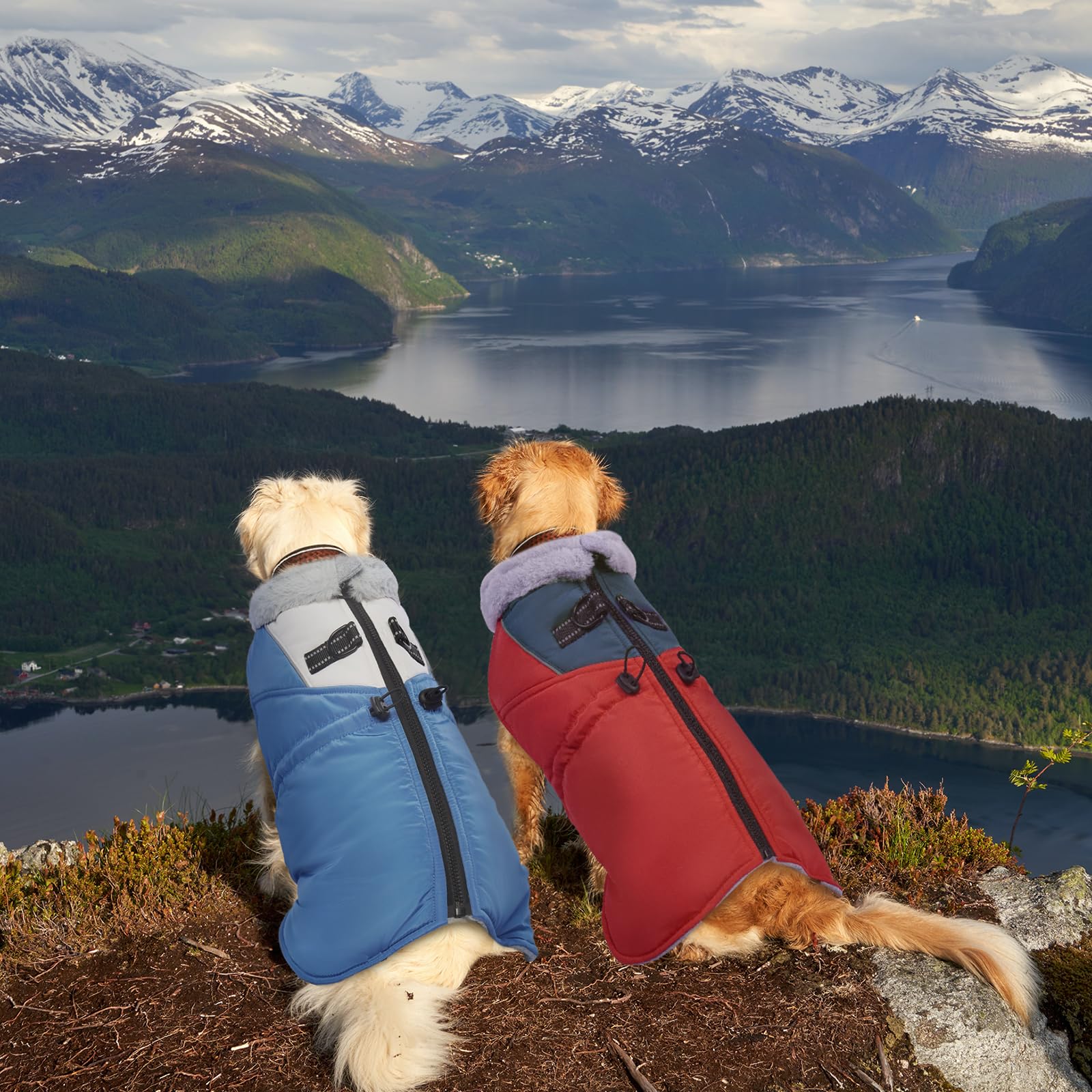 ROZKITCH jacket with D-ring attachment for easy leash connection outdoors