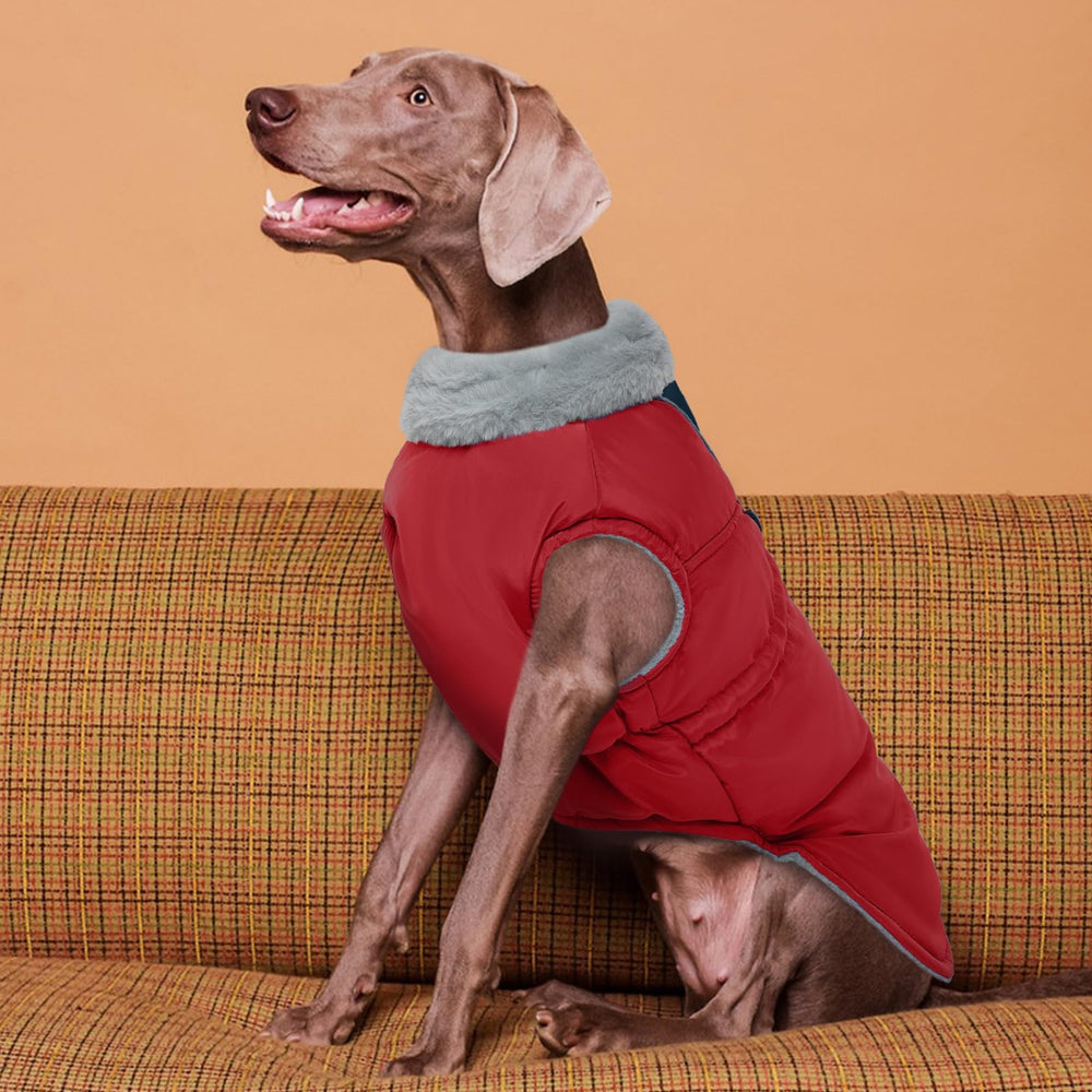ROZKITCH dog jacket reflective strip boosts visibility during evening walks