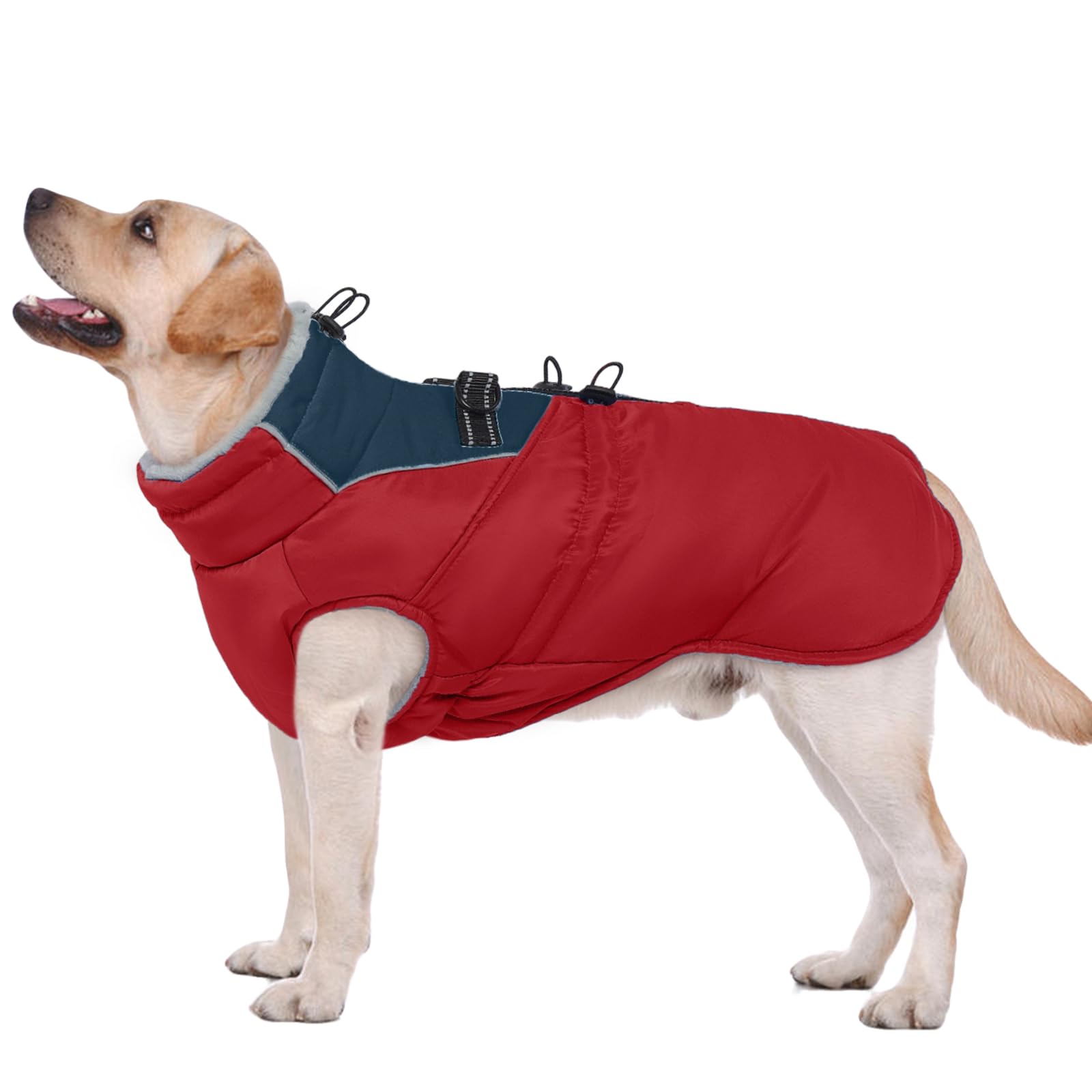 ROZKITCH size chart image helps choose the right fit for medium to large dogs