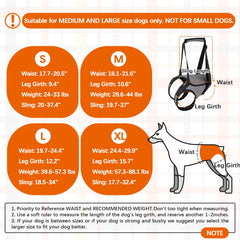 ROZKITCH Dog Lift Harness back view showing adjustable straps and support
