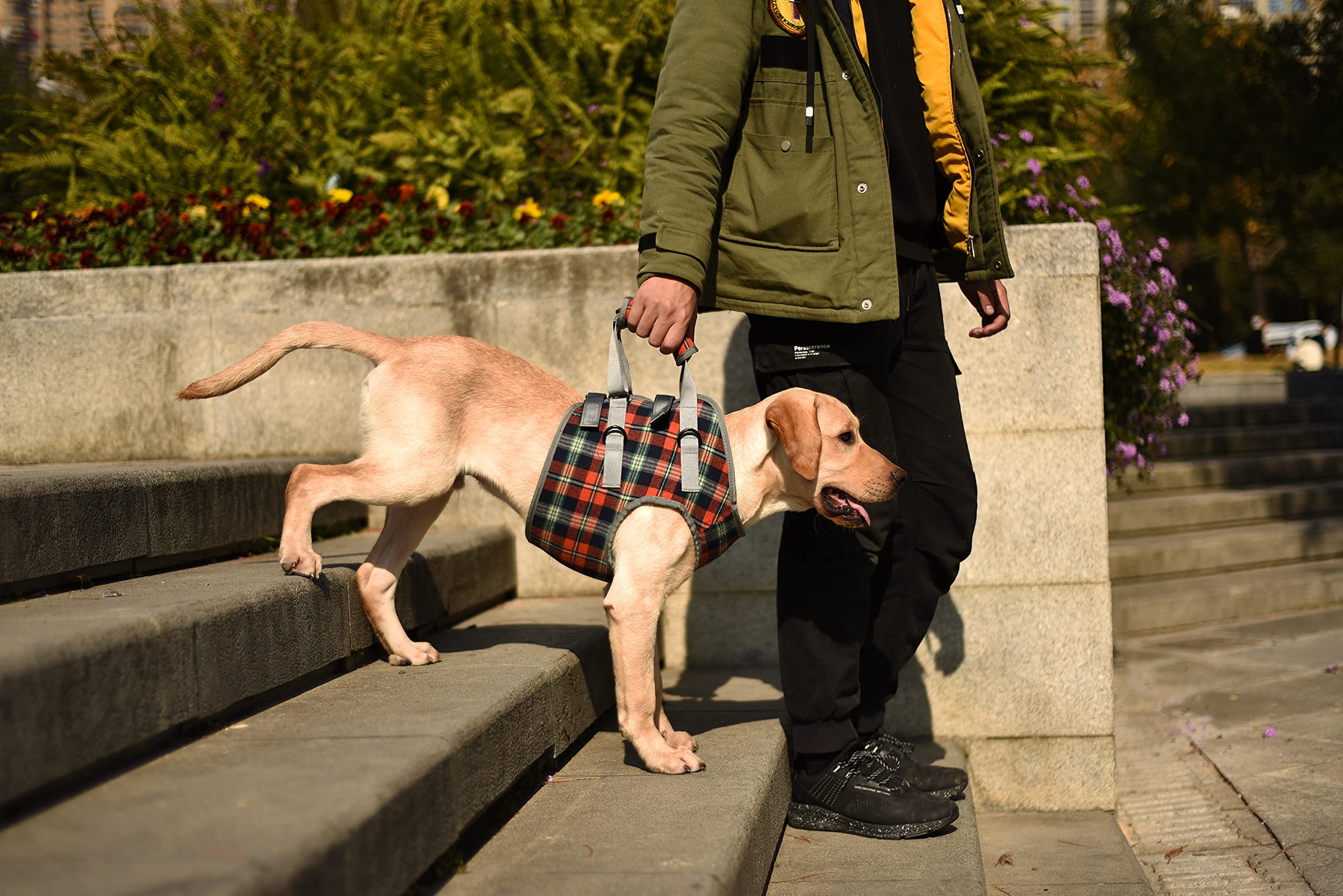 ROZKITCH dog lift harness easy setup showing front-leg placement