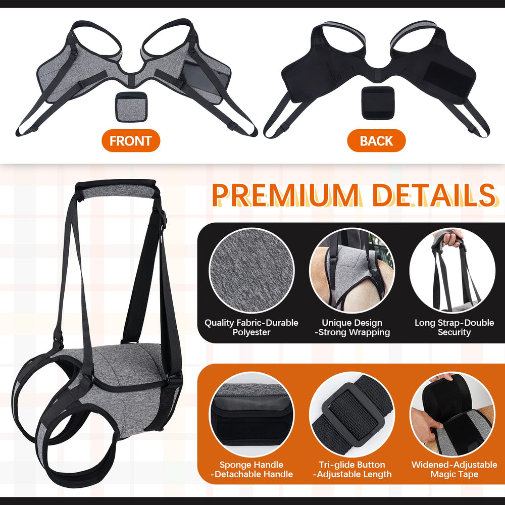 ROZKITCH Dog Lift Harness sling supporting hind legs during aid