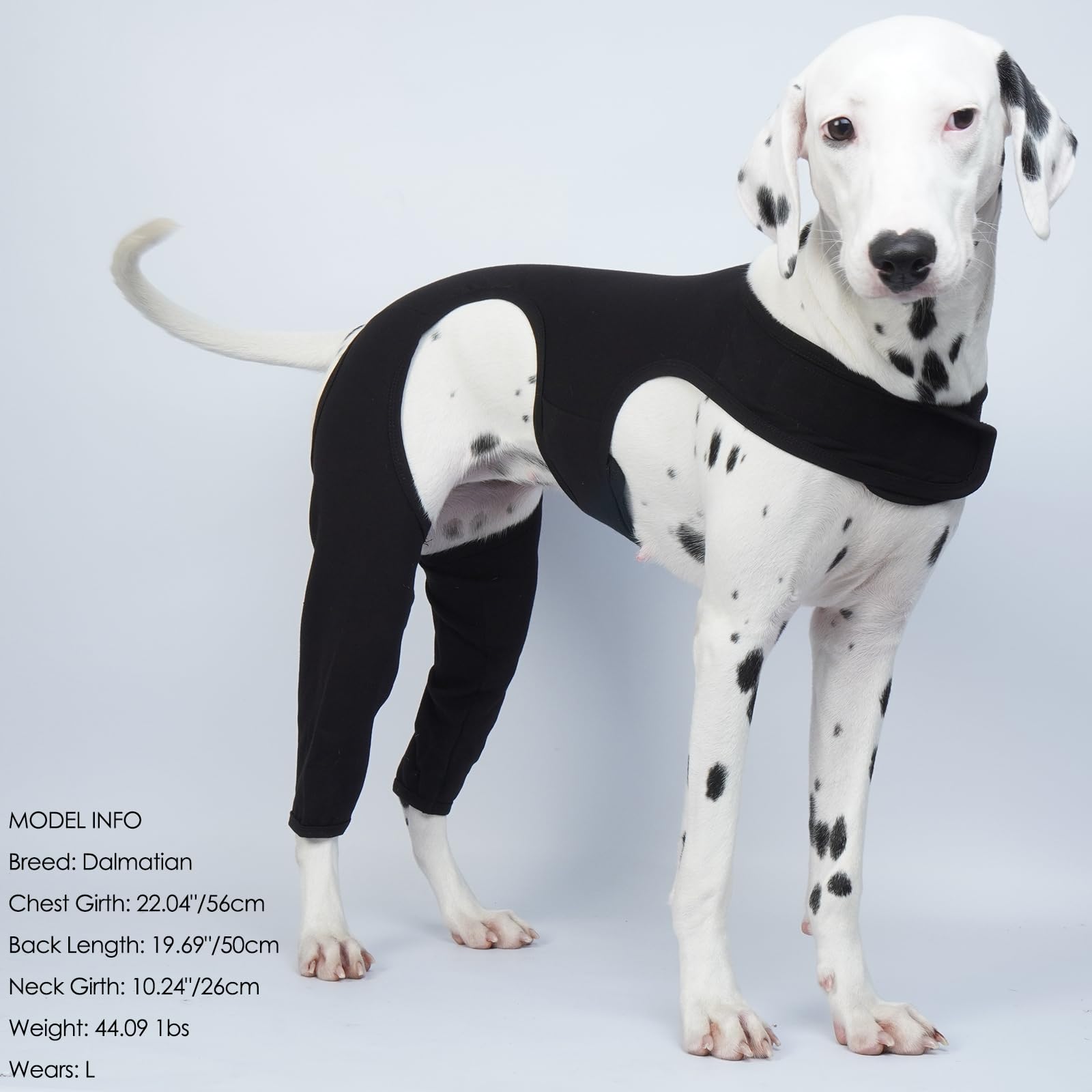 ROZKITCH dog pants washable-reusable easy to care for