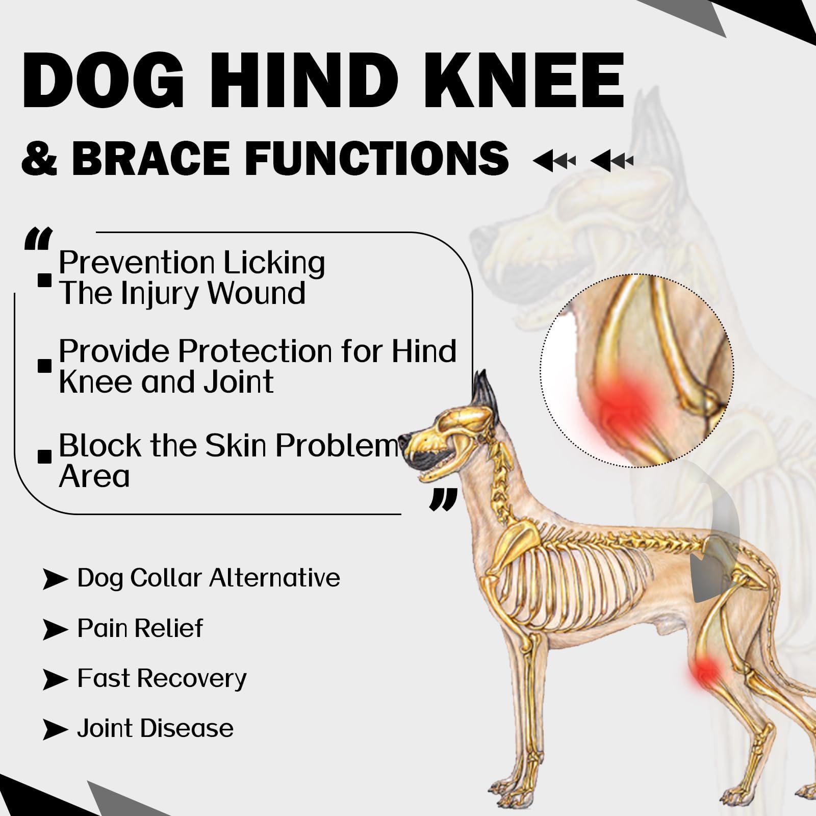 ROZKITCH dog pants wound-coverage keeps wounds protected