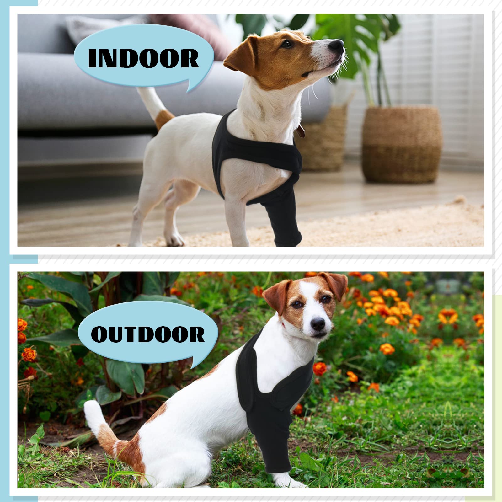 ROZKITCH dog sleeve protects bandages during outdoor activities.