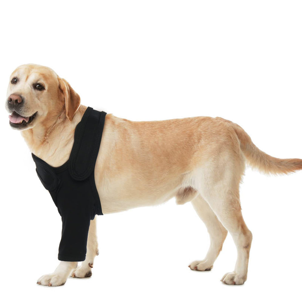 ROZKITCH dog sleeve cone-collar alternative for recovery.