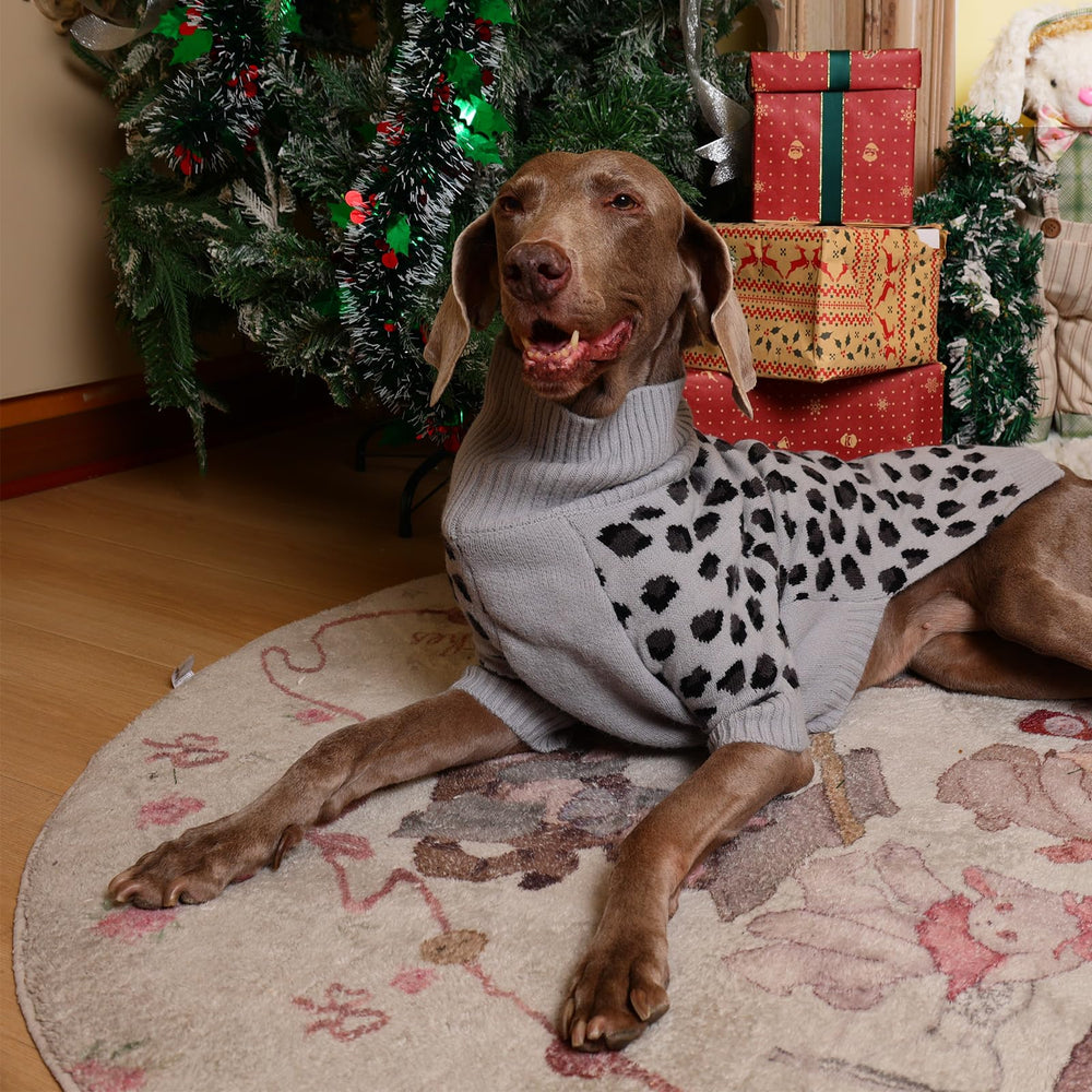 ROZKITCH winter outfit ambiance on a cozy dog look