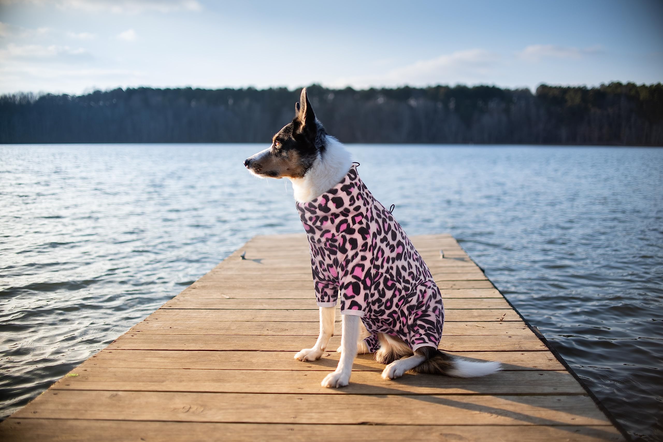 ROZKITCH dog warm pajamas reflective zipper seen at night for safer nocturnal walks