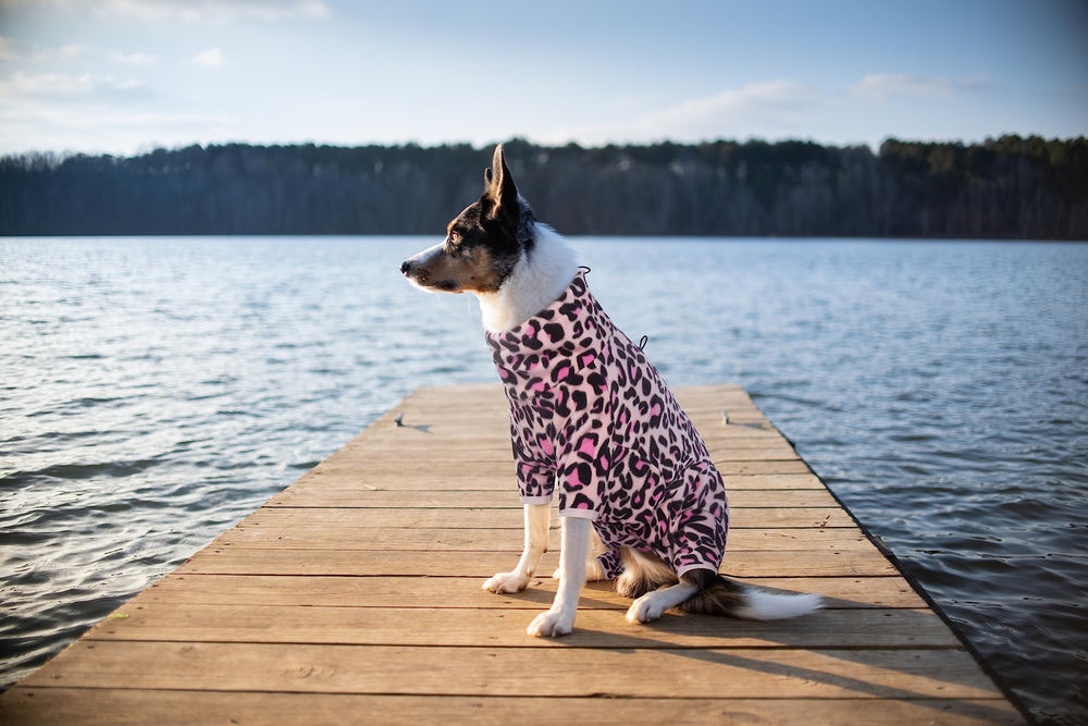 ROZKITCH dog warm pajamas reflective zipper seen at night for safer nocturnal walks