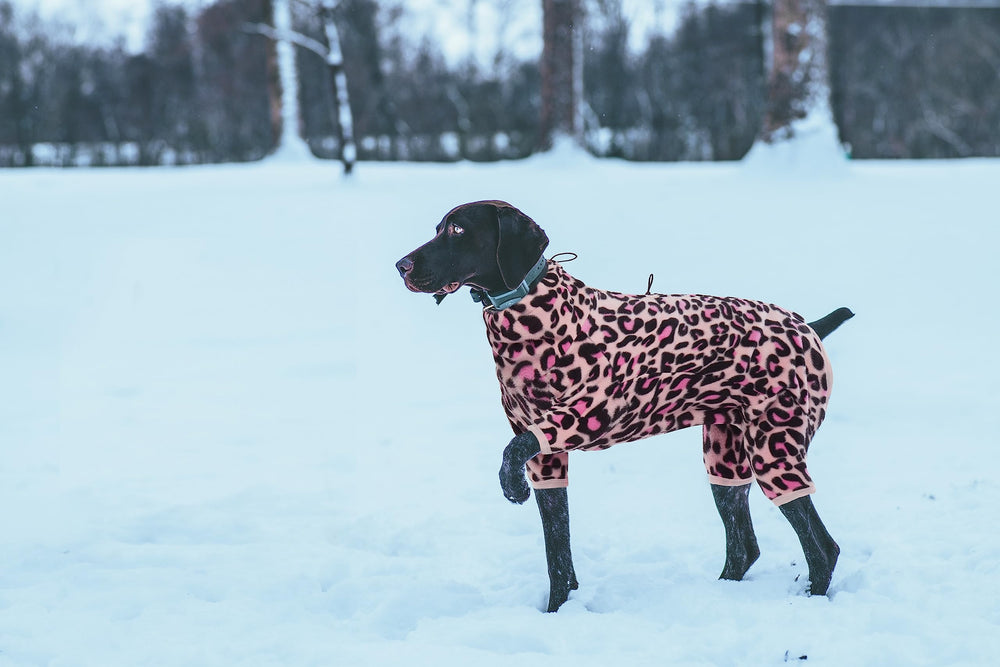 ROZKITCH dog warm pajamas size range tag illustrates availability from 2XS to 4XL