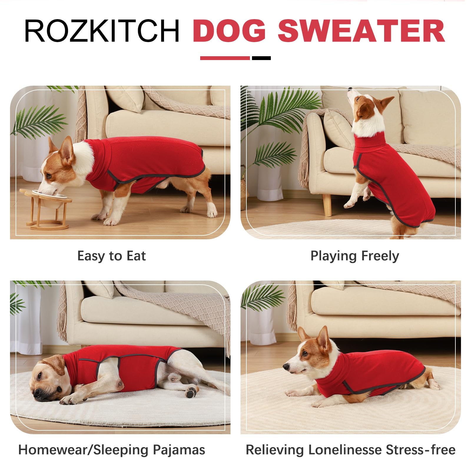 ROZKITCH dog windproof hooded design demonstrated for crisp autumn walks