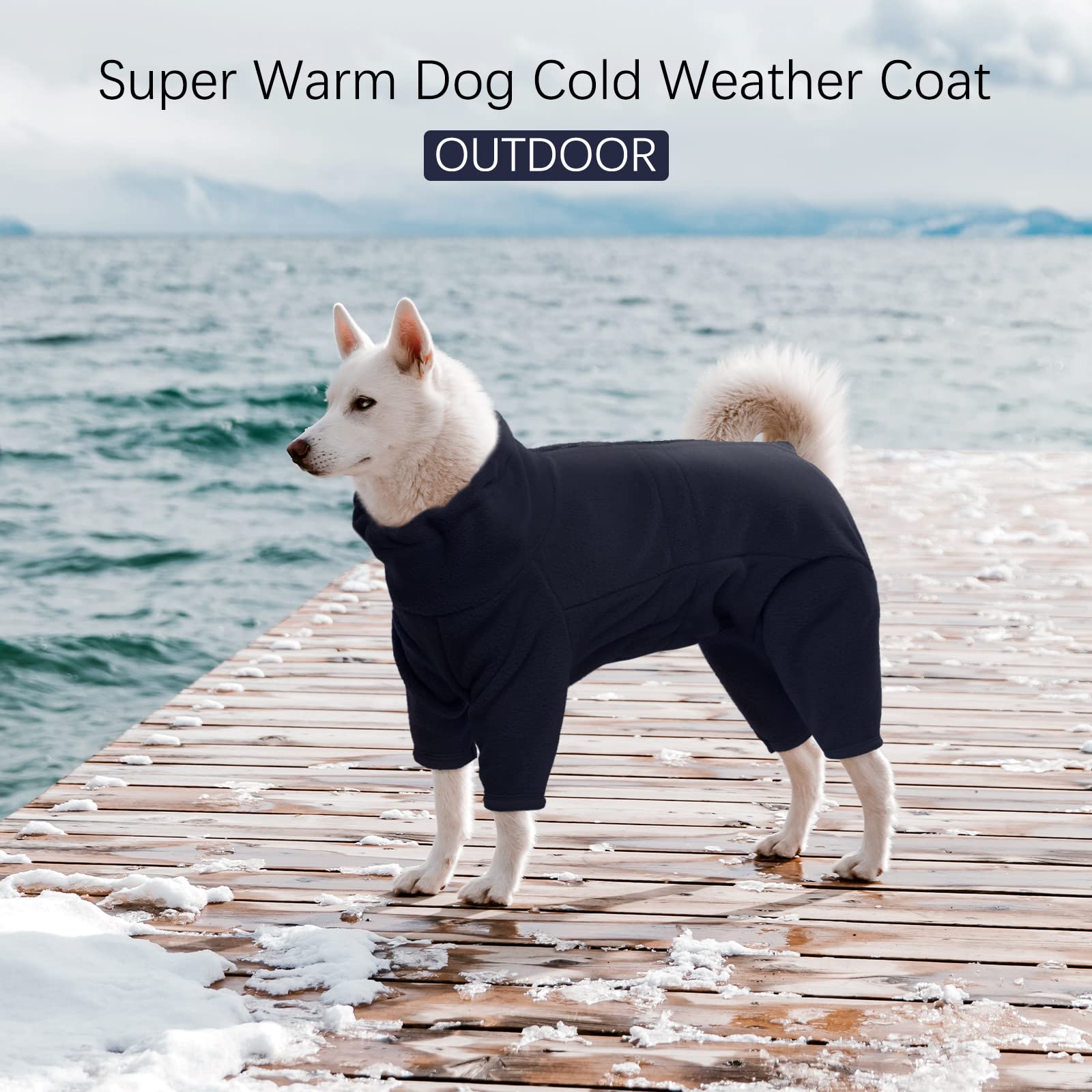 ROZKITCH dog winter coat back view highlights rear coverage during chilly walks