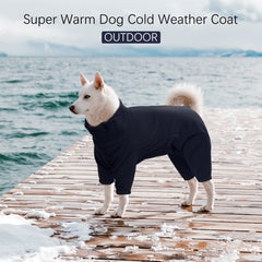 ROZKITCH dog winter coat back view highlights rear coverage during chilly walks