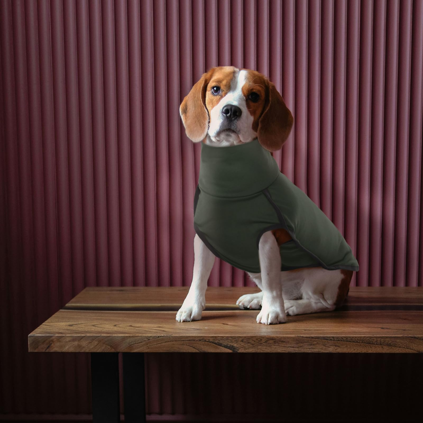 ROZKITCH cozy pajama style dog coat suitable for lounging and travel