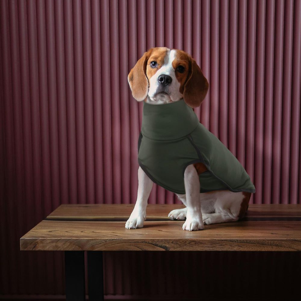 ROZKITCH cozy pajama style dog coat suitable for lounging and travel
