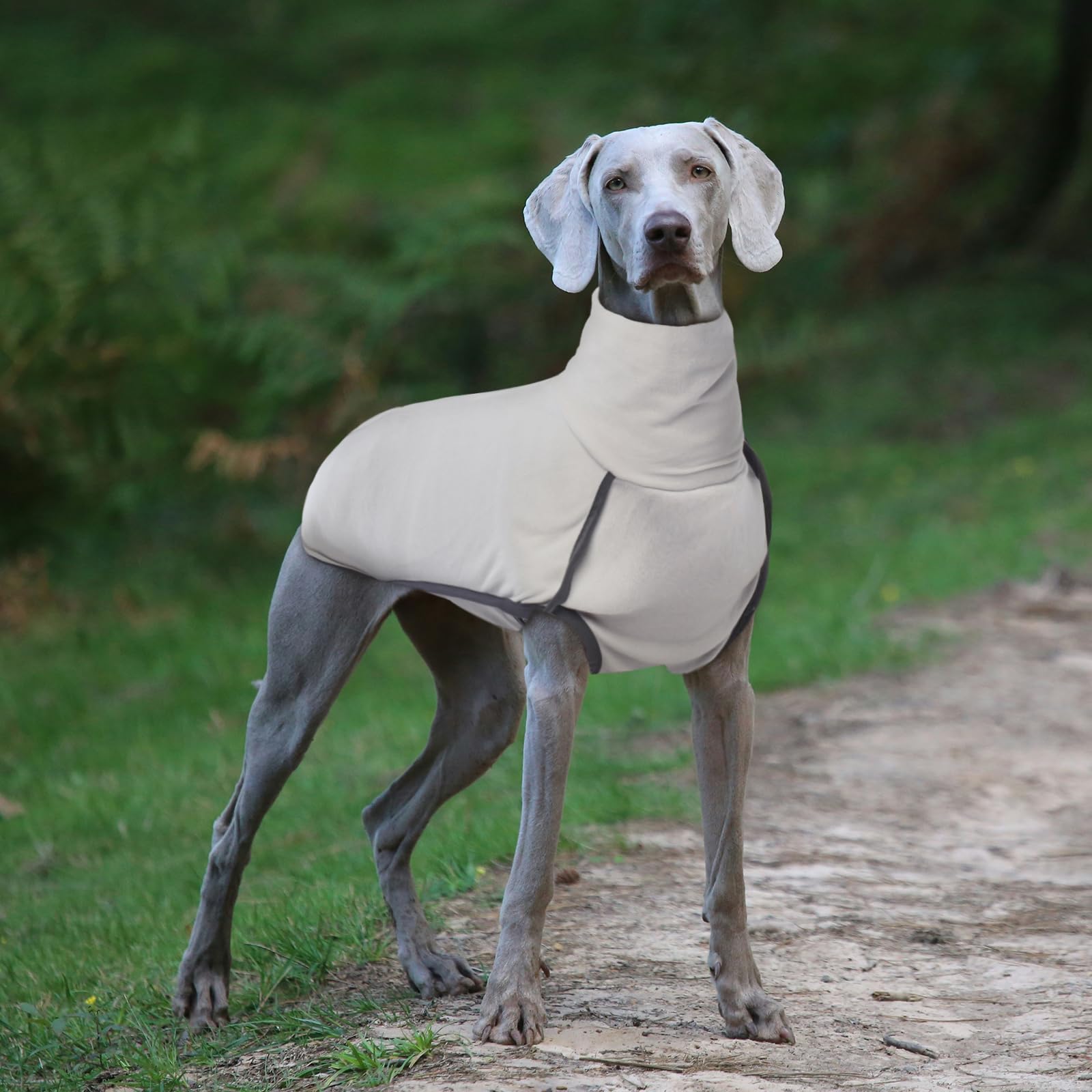 ROZKITCH dog winter coat in-use with adjustable hind-leg straps