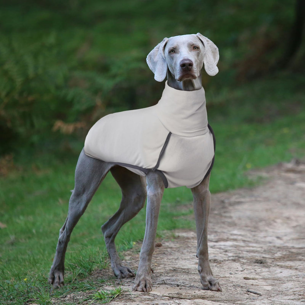 ROZKITCH dog winter coat in-use with adjustable hind-leg straps