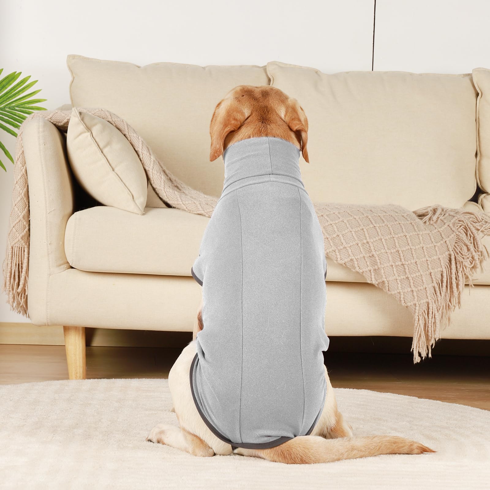 ROZKITCH dog winter coat in use during a walk demonstrating everyday performance
