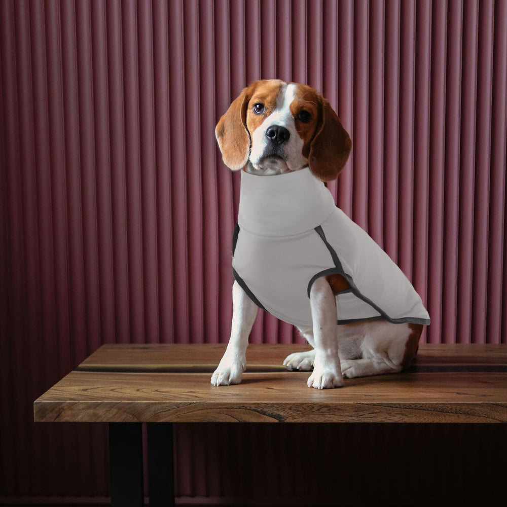 ROZKITCH dog winter coat no-leg design for freedom of movement