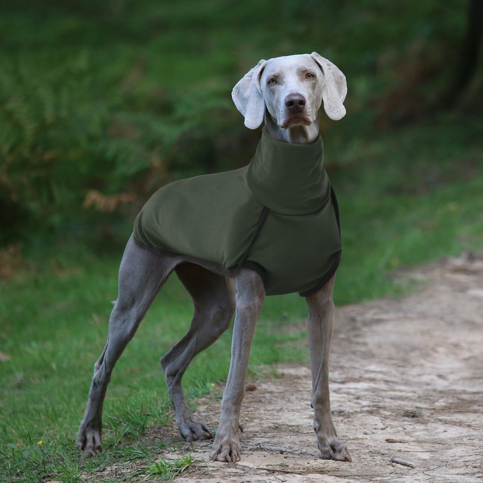ROZKITCH dog winter coat during walking and hiking activities in cold weather
