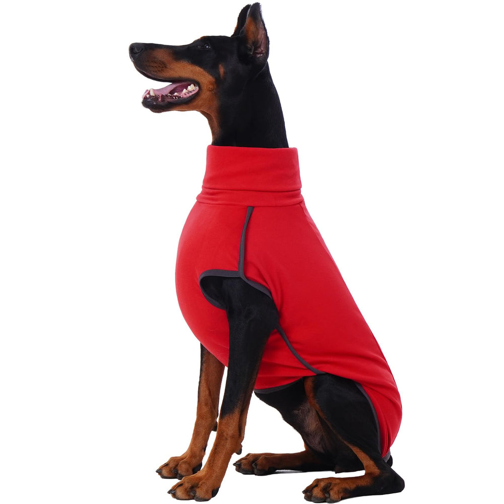 ROZKITCH dog winter coat close-up shows warm fabric for cozy winter walks