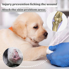 ROZKITCH breathable material keeps dogs comfortable during recovery.