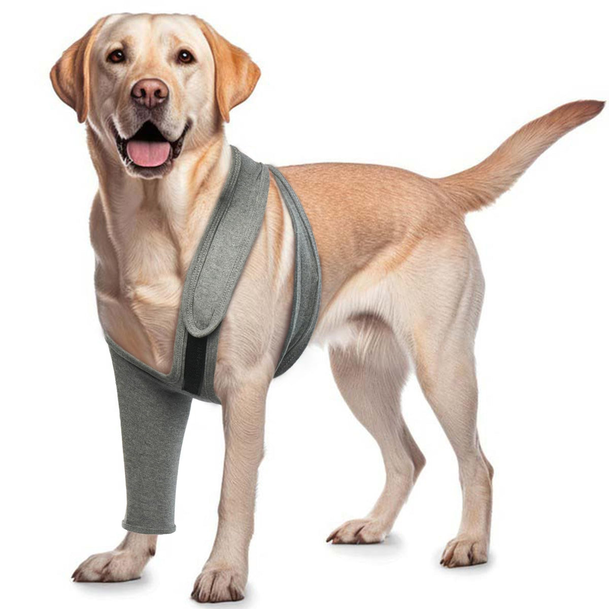ROZKITCH dog wound cover front leg sleeve gray—protects wounds and prevents licking.