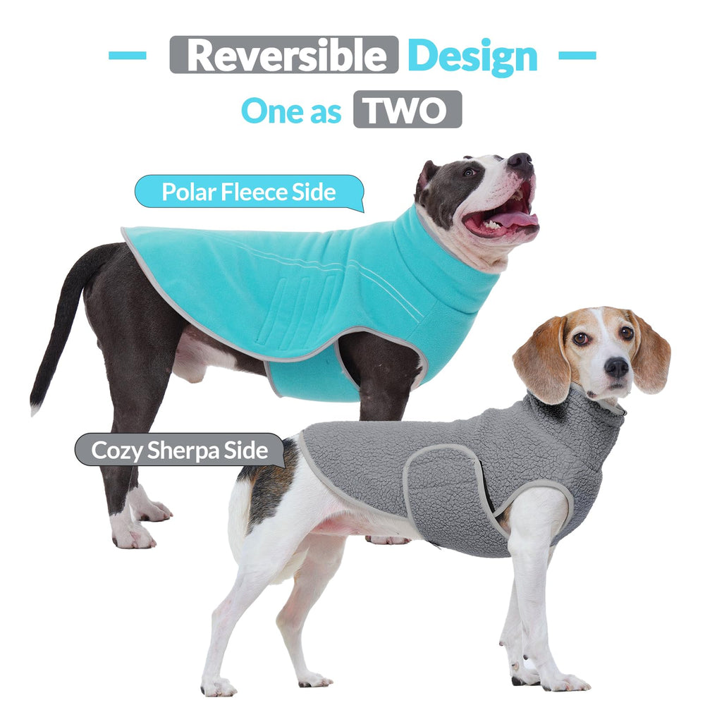 ROZKITCH leash-hole-back design enables secure walks with harness compatibility.