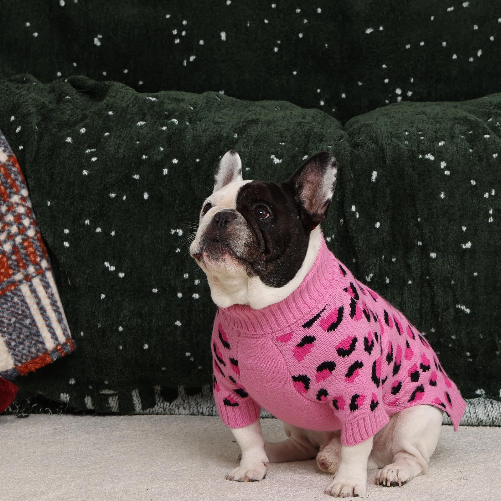 ROZKITCH machine-washable dog sweater simplifies cleaning after adventures.