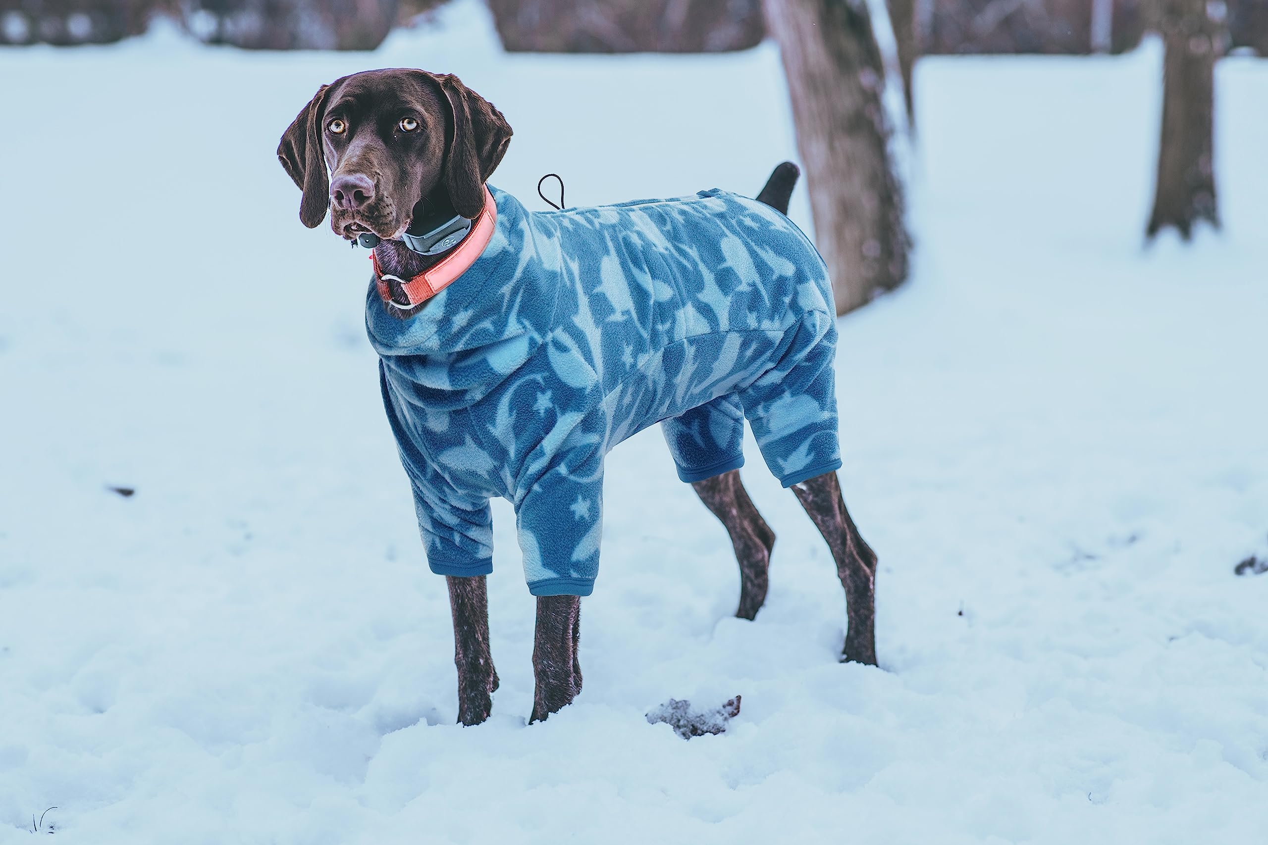 ROZKITCH Pajamas for Dogs size chart shows 2XS-4XL range
