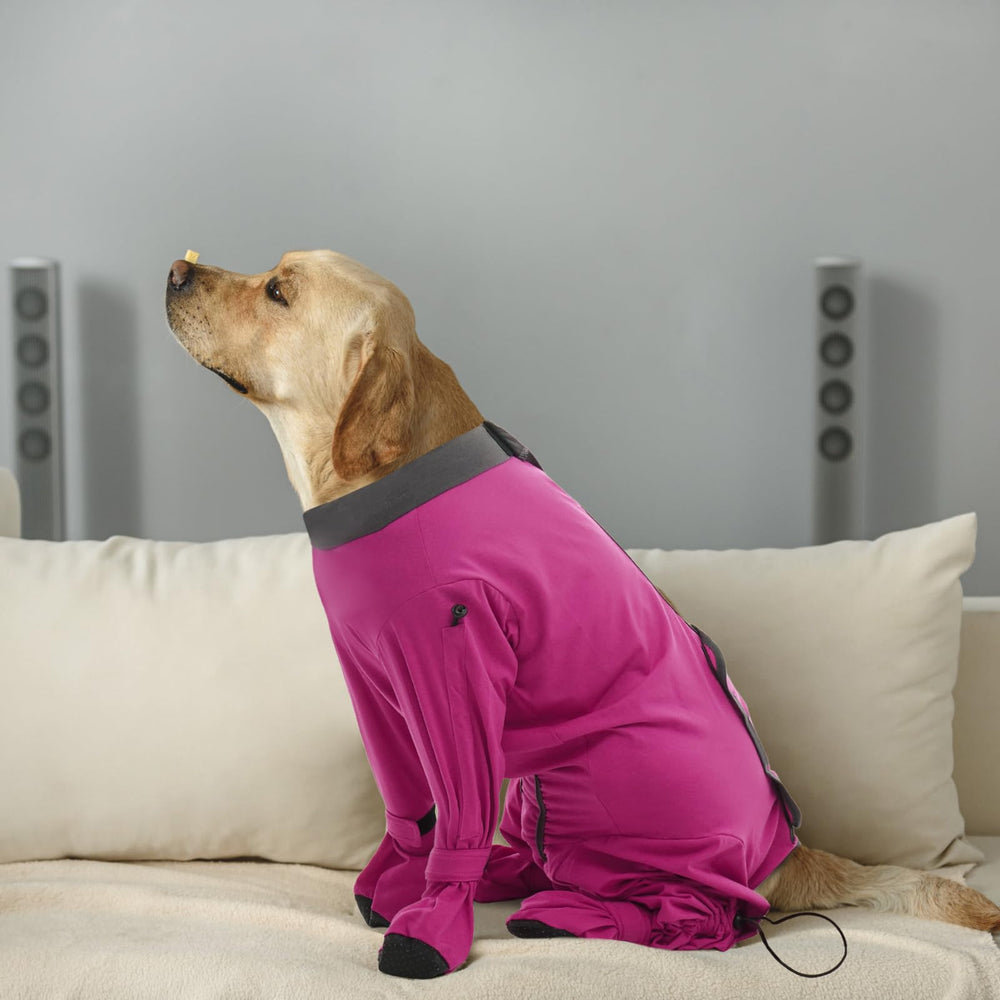 ROZKITCH Recovery Suit as an e-collar alternative allowing eating and drinking.