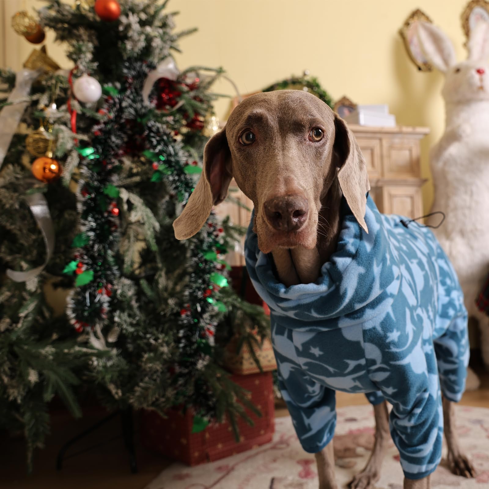 ROZKITCH Shark Dog Pajamas adjustable neck ensures a snug fit.
