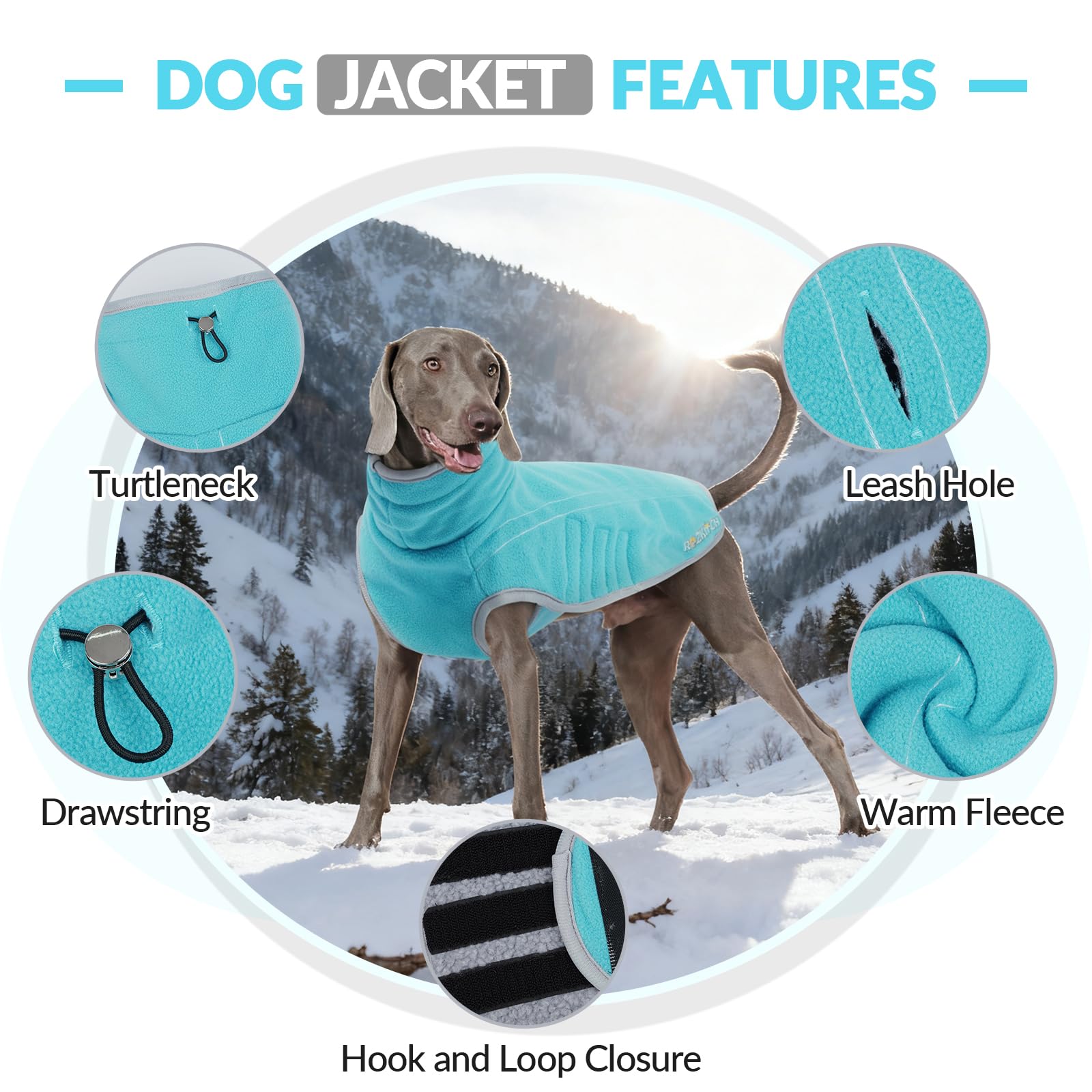 ROZKITCH size-chart-giant-breeds shows 4XL fit for large dogs.