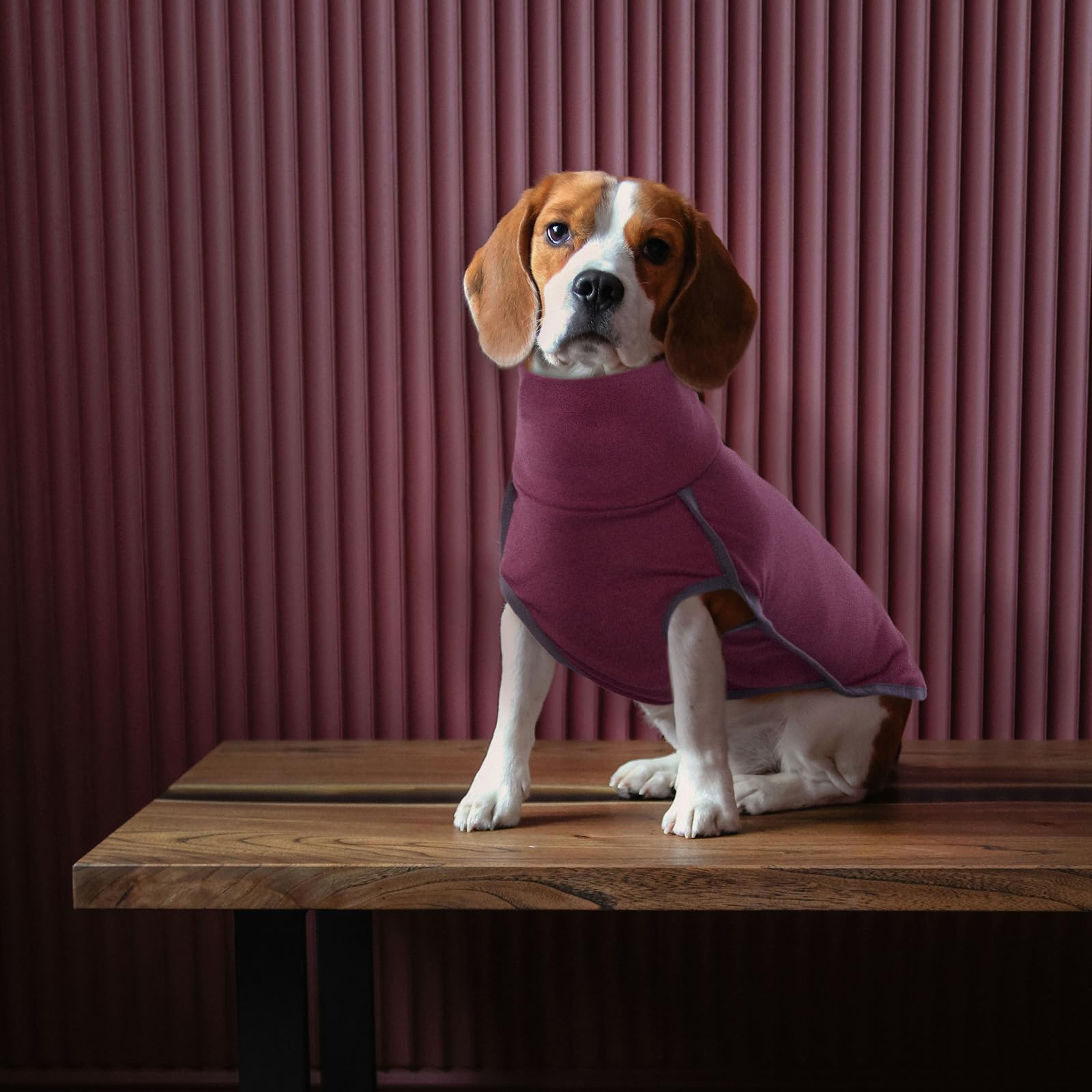 ROZKITCH size range graphic displays 2XS–3XL for many breeds