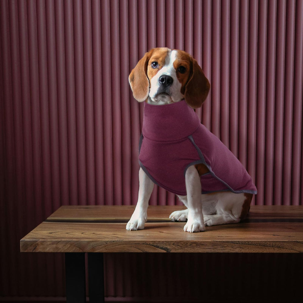 ROZKITCH size range graphic displays 2XS–3XL for many breeds