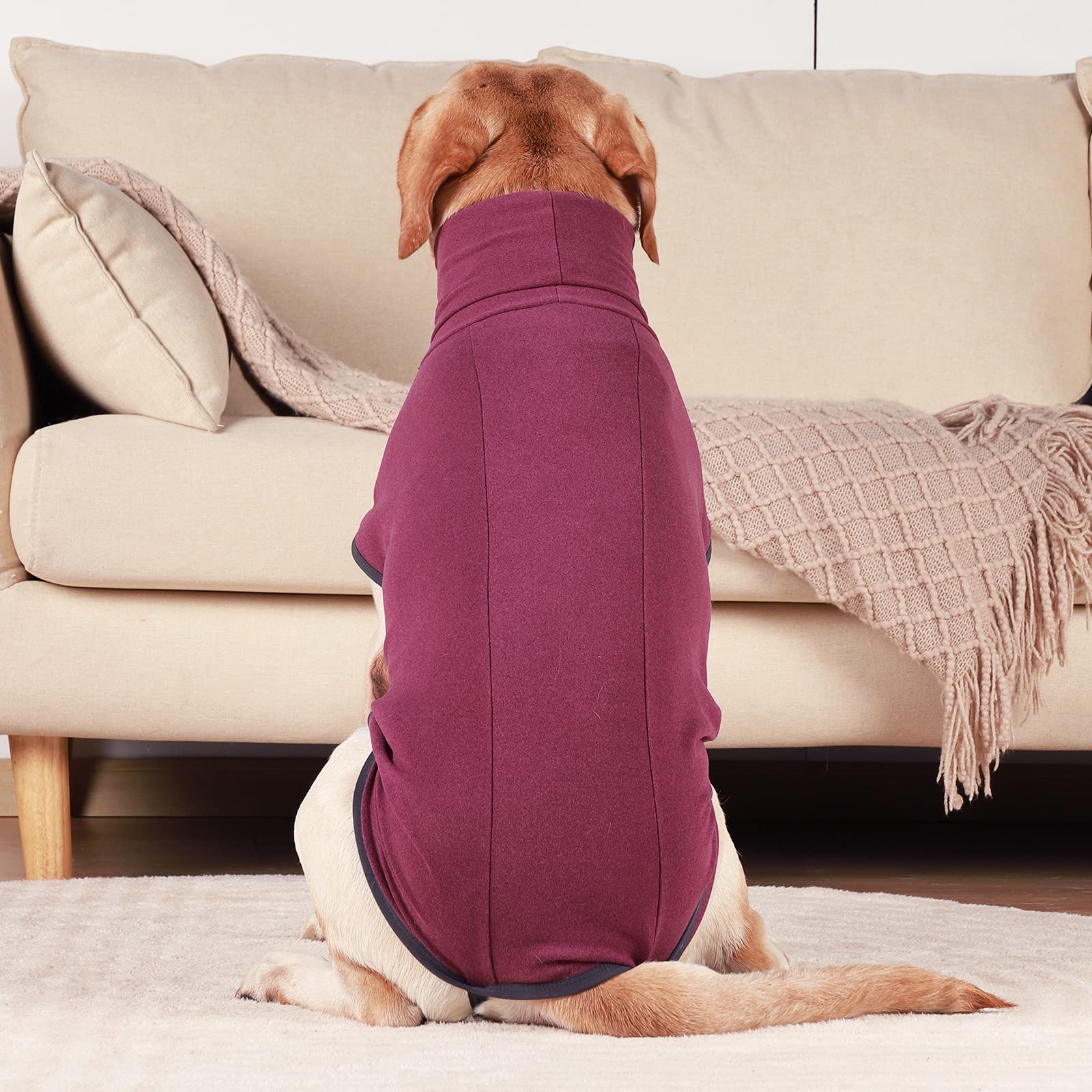 ROZKITCH lightweight red dog vest during daily outdoor activity