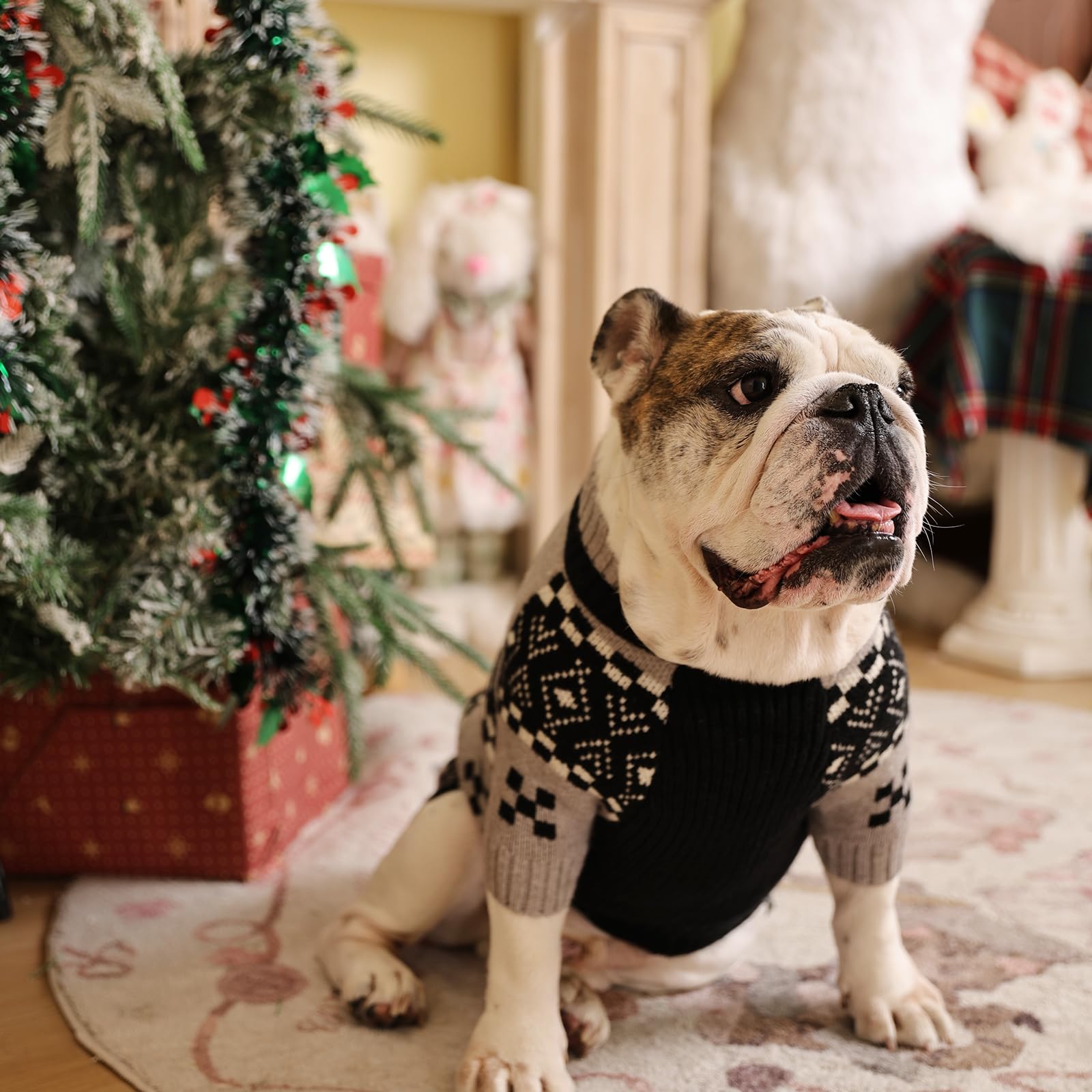 ROZKITCH versatile knit suited for daily walks, parties, and adorable photo ops.