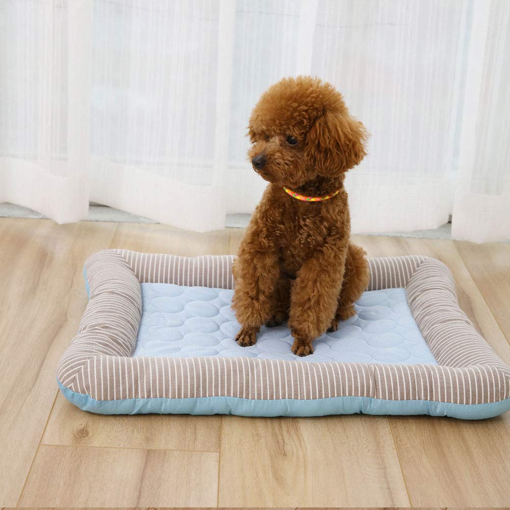 RPGT Summer Pet Self Cooling Mat in garden offers cooling comfort outdoors.